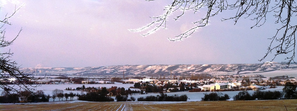 Featured Image-1